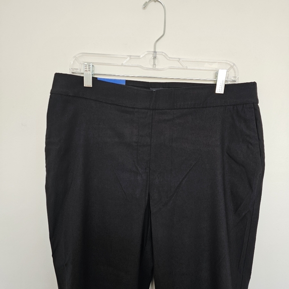 Elevate Your Style with These Hilary Radley Pull-On Pants! Size Large. New - Picture 2 of 11